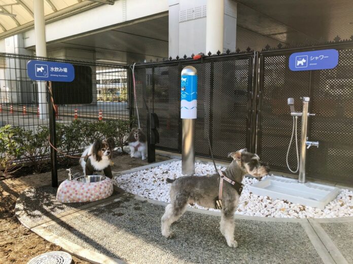 Kyodo file photo
