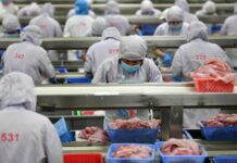 More Enterprises in China Resume Work Amid Epidemic