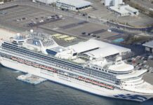 Japan Woman Cleared of Cruise Quarantine Tests Positive for Virus
