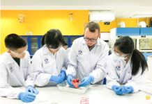 KMIDS – Strengths in Innovation
