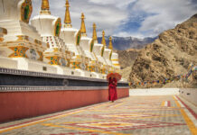 Teacher’s Photo Exhibit Fundraises for Bangkok Charity Kitchen