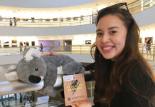 Koala Plushies in Bangkok Are Fundraising for the Aussie Bushfires