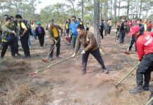 Scorched by Wildfire, Phu Kradueng to Close For Most of 2020 Environment minister Varawut Silpa-archa creates a firebreak during his visit to Phu Kradueng National Park on March 2, 2020.