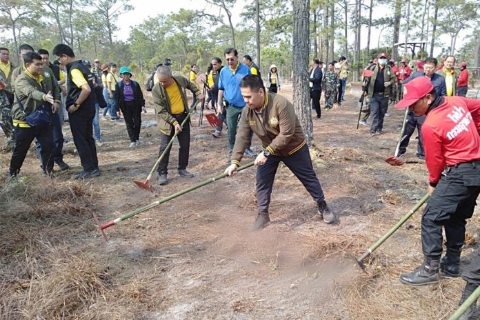 Environment minister Varawut Silpa-archa creates a firebreak during his visit to Phu Kradueng National Park on March 2, 2020.