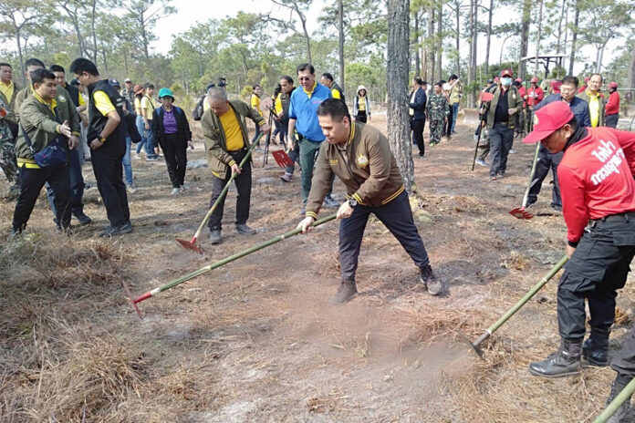 Environment minister Varawut Silpa-archa creates a firebreak during his visit to Phu Kradueng National Park on March 2, 2020. Environment minister Varawut Silpa-archa creates a firebreak during his visit to Phu Kradueng National Park on March 2, 2020.