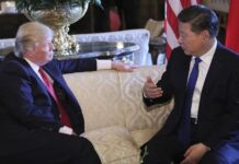 Xi Tells Trump China Ready to Assist US Fight Against Virus