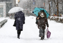 Japan Has Yet to Hit Infection Peak: Kyodo Study