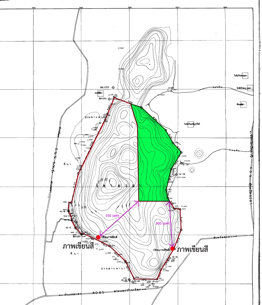 In this map of Khao Yala provided by the Department of Fine Arts, the area covered in green shows where the special protection status was revoked, while the areas marked with a red dot show where the cave paintings are located.
