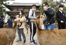 Virus to Cut Foreign Visitors’ Spending in Japan by $9 Bil.