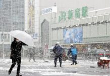 Out-of-Season Snow Blankets Tokyo Amid Pandemic