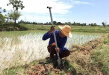 Coronavirus 5,000-Baht Monthly Relief Extended to Farmers
