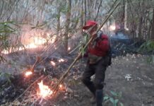 Local Gov’t Lacks Means to Tackle Wildfires Raging in North, NGOs Say