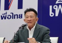 Pheu Thai Chief Promises Cooperation With Gov’t to Fight Outbreak
