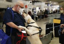Finding Joy Amid Pandemic’s Anxiety and Heartache (Photos)