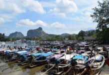 2 Stimulus Packages Planned to Salvage Economy Sickened by Virus