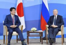 Abe, Putin Agree on Cooperation Over Coronavirus Response