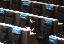 Cabinet Decides to Extend Virus Emergency Rule for 2nd Time