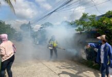 Dengue Fever in Isaan Kills 2, Sickens More Than 1,000