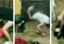 Puppy Abuser Sentenced to 6 Months in Jail