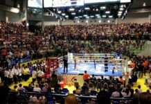 Boxing Stadiums May Reopen by Mid-June, Organizer Says