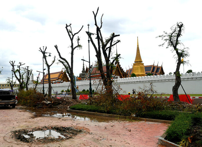 Chainsawed trees near the Grand Palace on June 17, 2020.