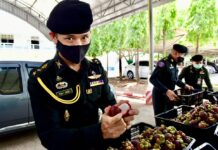 Chartered Flight Brings Thai Mangosteen to Chinese Customers