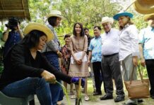 Opinion: The Time Has Come for Innovative Agriculture in Thailand