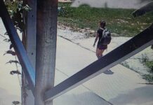 Ukranian Woman Death: Cops Find CCTV Footage of Victim