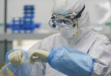 France Says No Link Between Origin of COVID-19, Wuhan Lab