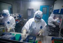 Scientists Reject Conspiracy Theory of Coronavirus Origin