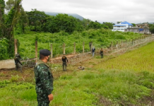 Gov’t Urged to Reopen Checkpoints as Border Trade Falls in Pandemic
