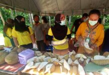 Pattani Eyes Chinese Market to Sell Its Native Durian