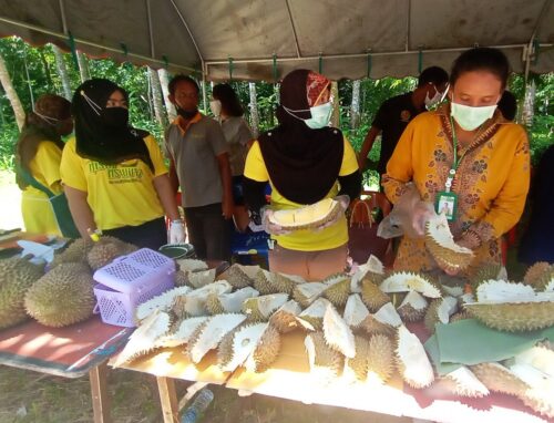 Pattani Eyes Chinese Market to Sell Its Native Durian
