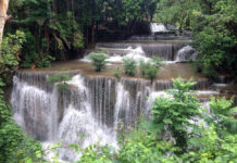 National Park Lifts Controversial Ban on Foreigners A file photo of Srinakarin Dam National Park.
