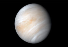 See Venus at Its Brightest This Year Wednesday Morning