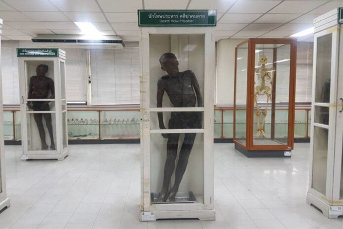 The embalmed body of Si Quey Sae-Ung on display at Siriraj Forensic Museum.