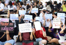 Upcoming Pro-Democracy Rallies to Invoke Hamtaro, Harry Potter