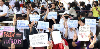 Upcoming Pro-Democracy Rallies to Invoke Hamtaro, Harry Potter