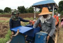 CP Foods Brings New Technologies to Sustainable Corn Sourcing