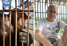 Activist Cages Himself to Protest Animal Captivity in Pandemic