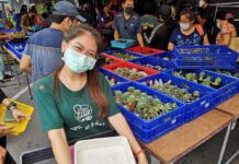 Meet the ‘New Normal’ Hobby Planted by Coronavirus: Gardening