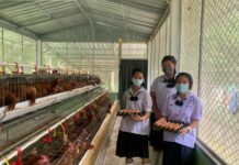 CPF Continues the Fight Against Malnutrition Among Children in Rural Thailand