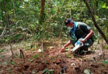 Forager Killed by Landmine on Thai-Cambodian Border