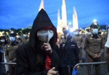 Yer an Activist, Harry: Themed Protest Calls for Democracy, Reforms