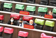 Top Pro-Establishment Senators Support Charter Rewrite