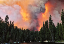 Wildfires Race Through Dry, Windy California (Photos)
