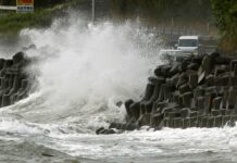 Typhoon Unleashes Rain, Strong Winds in Southern Japan