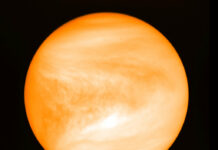 Astronomers See Possible Hints of Life in Venus’s Clouds