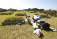 South Korea Sees Lowest Virus Increase in 50 Days
