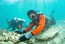 Sea Bed Along Southern Coast is Now Protected by Law
